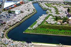 Goryokaku (Five-sided fort) Area