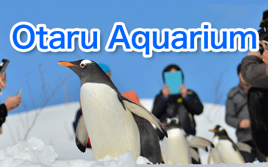 Otaru Aquarium