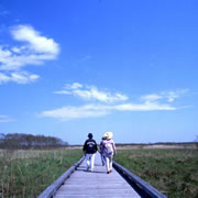 Kushiro Marshland