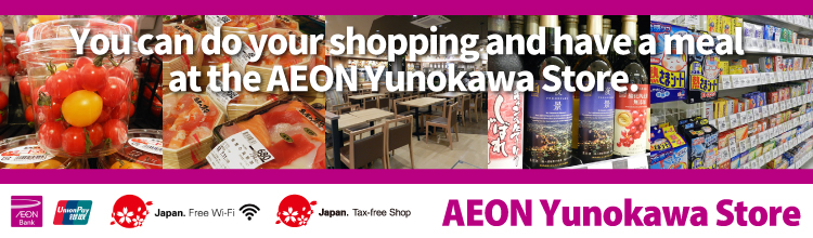 AEON Yunokawa Store