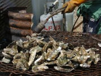 Akkeshi Oyster Festival