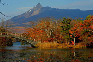 北海道西部：大沼公园的红叶