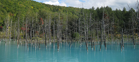 Blue pond