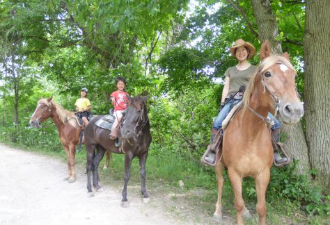 八剣山の麓で乗馬体験