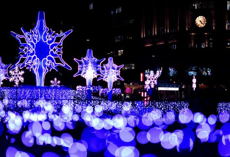 札幌ホワイトイルミネーション