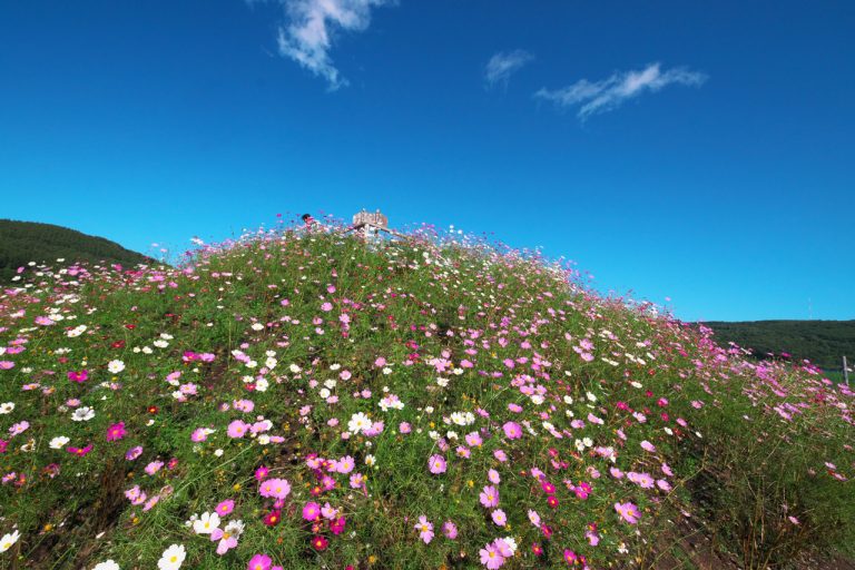 Nou Omagari Shoreline Garden
