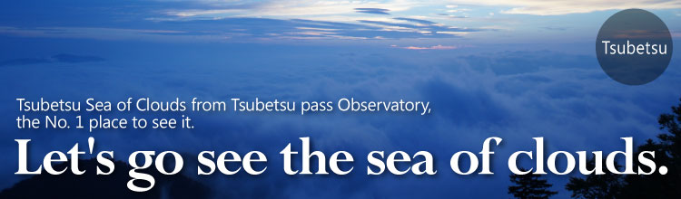 Let's go see the sea of clouds.