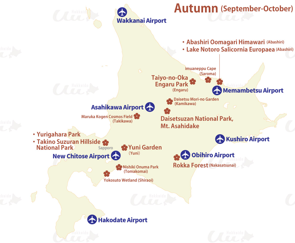 Autumn Flowers in Hokkaido MAP