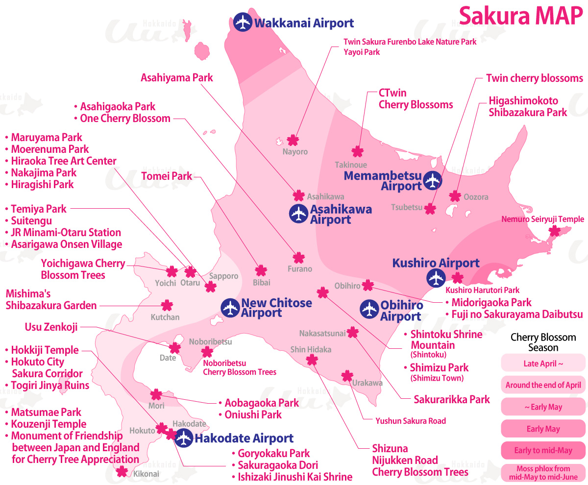 Hokkaido Cherry Blossom MAP
