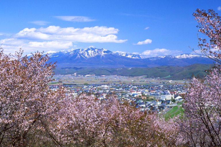 Cherry blossom viewing spots in Hokkaido