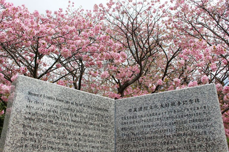 Cherry blossom viewing spots in Hokkaido