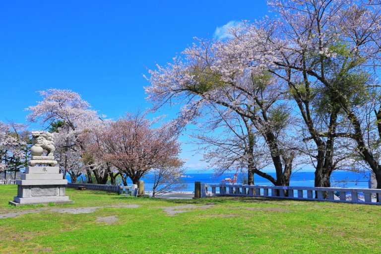 Cherry blossom viewing spots in Hokkaido