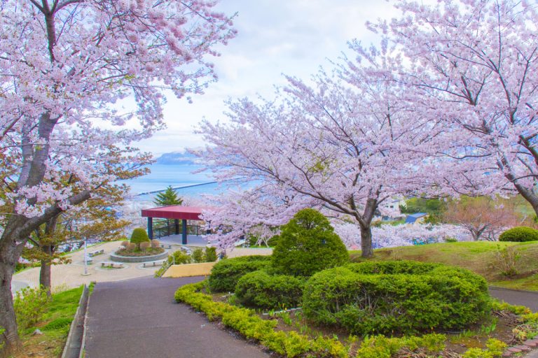 Cherry blossom viewing spots in Hokkaido
