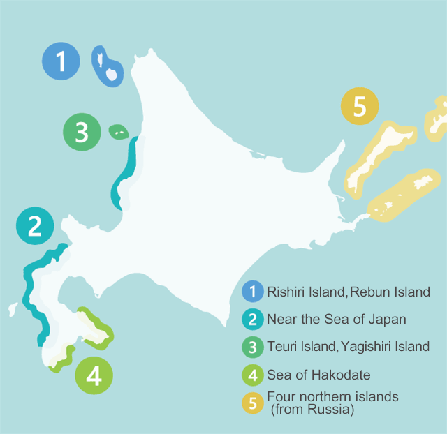 A production center for kombu