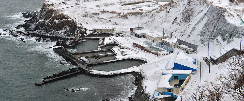 otaru_aq_winter_top2.jpg