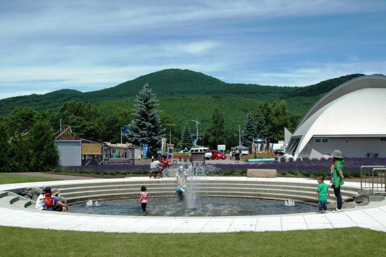 Roadsaide Station Minamifurano