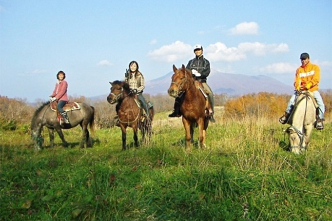 Horse trekking: Sunny's Stable. This is an authentic horseback riding experience that takes you trail riding at the foot of Mt. Komagatake. After a briefing, beginners can enjoy a guided course, while experienced riders can start right away on the advanced course. There are three course durations available: 90 minutes, 150 minutes, and 210 minutes. The horses used are Western horses, the kind used by cowboys.
