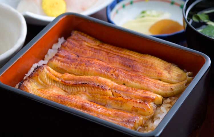 Eels／Miyagawa Honten