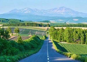 Asahikawa Tourist & Convention Association