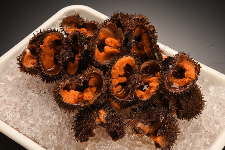 Sea urchin(in the shell)